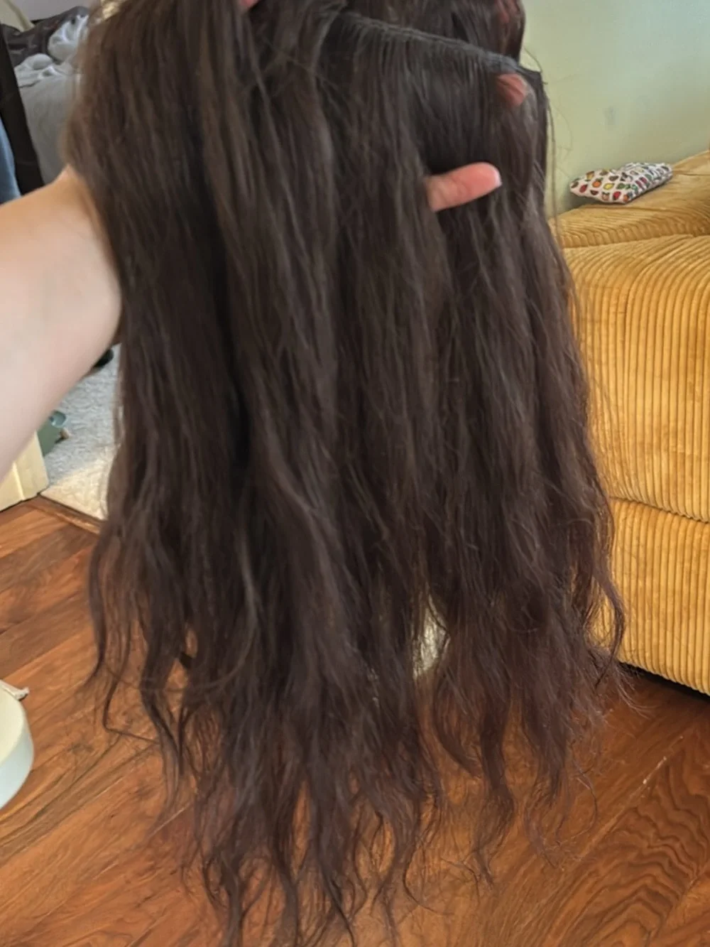 Goo Goo Clip-In Human Hair Extensions